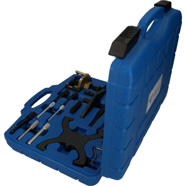 FOT_PRO_VAR_BT592950.1_SALL_AING_V1