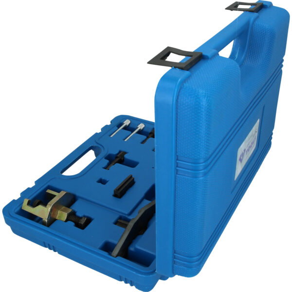 FOT_PRO_VAR_BT592850.1_SALL_AING_V1