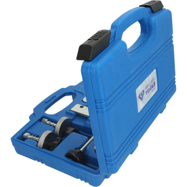 FOT_PRO_VAR_BT592650.1_SALL_AING_V1