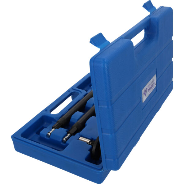 FOT_PRO_VAR_BT592600.1_SALL_AING_V1