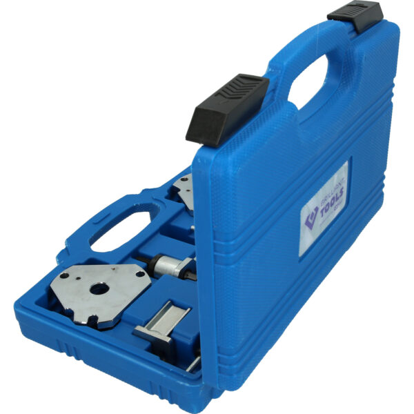 FOT_PRO_VAR_BT592550.1_SALL_AING_V1