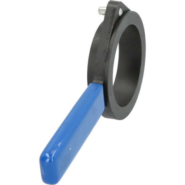 FOT_PRO_VAR_BT596000.1_SALL_AING_V1