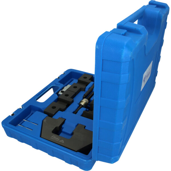 FOT_PRO_VAR_BT591900.1_SALL_AING_V1