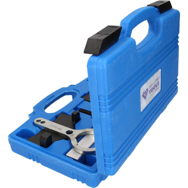 FOT_PRO_VAR_BT591850.1_SALL_AING_V1