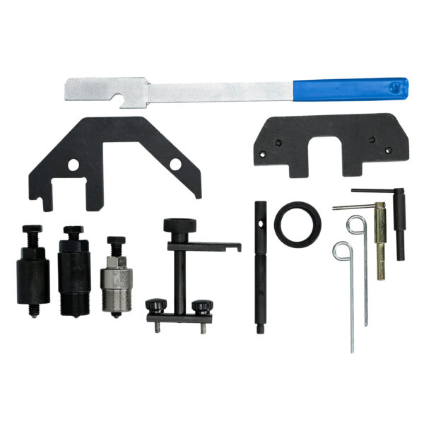 FOT_BT_VAR_BT591650.1_SALL_AING_V1