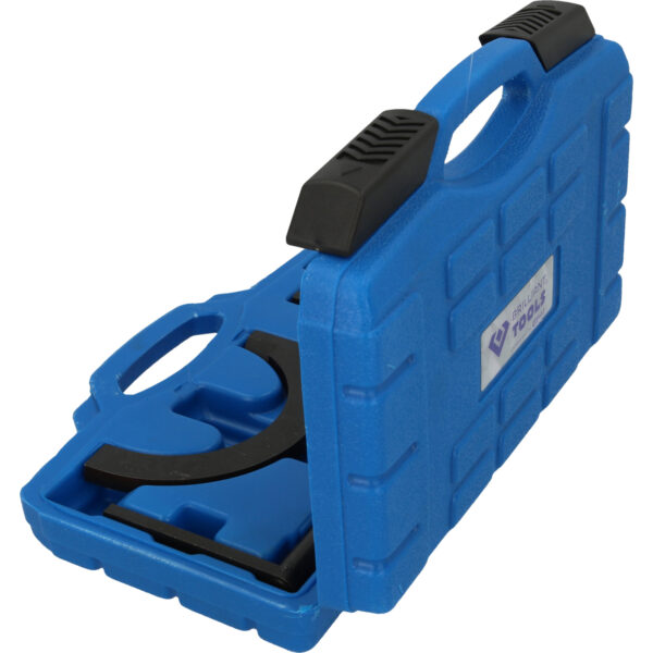 FOT_PRO_VAR_BT591550.1_SALL_AING_V1