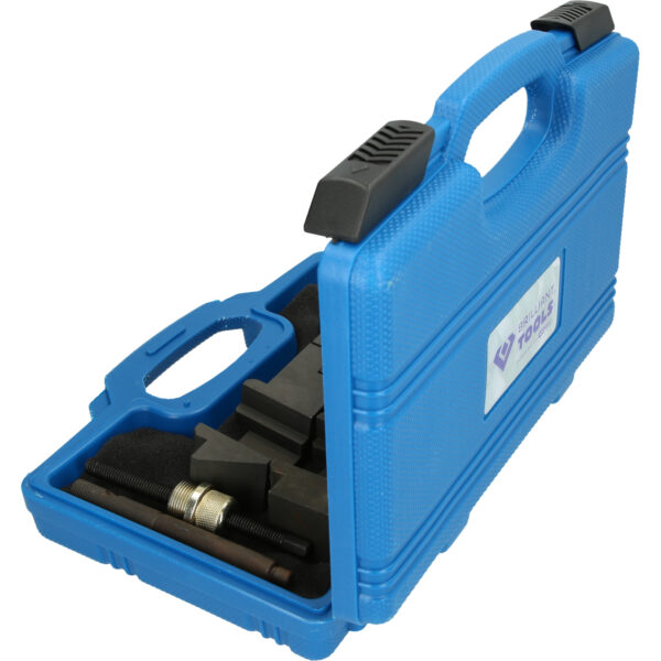 FOT_PRO_VAR_BT591500.1_SALL_AING_V1