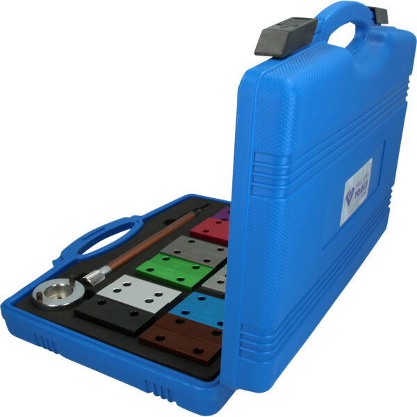 FOT_PRO_VAR_BT591350.1_SALL_AING_V1