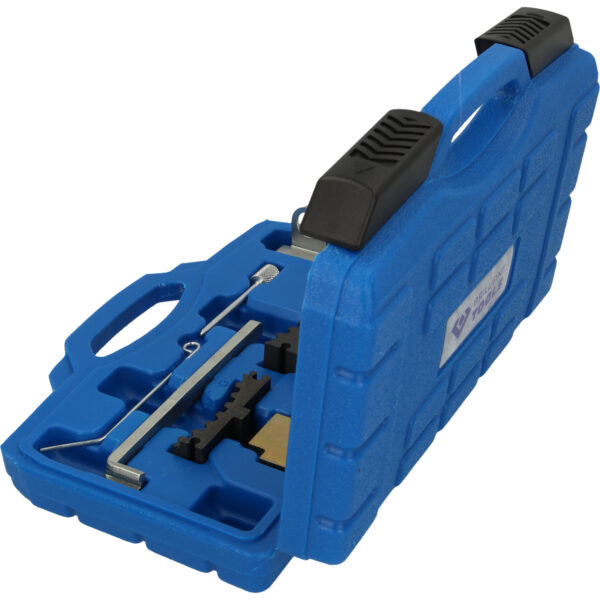 FOT_PRO_VAR_BT591300.1_SALL_AING_V1