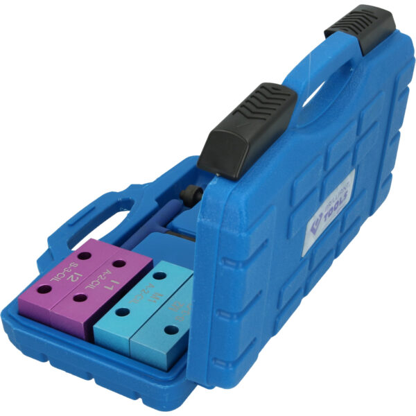 FOT_PRO_VAR_BT591250.1_SALL_AING_V1