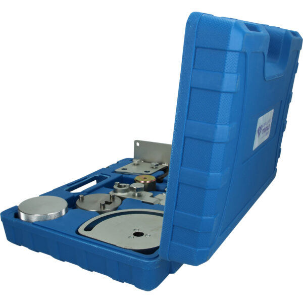 FOT_PRO_VAR_BT597900.1_SALL_AING_V1