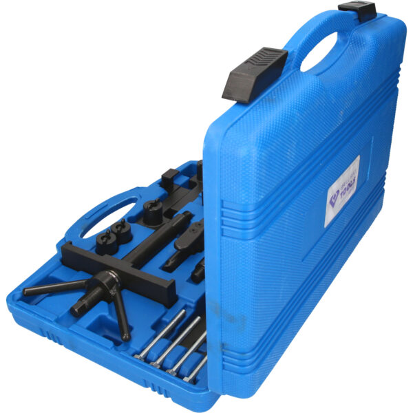 FOT_PRO_VAR_BT597850.1_SALL_AING_V1