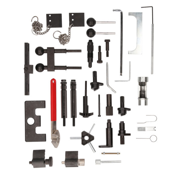 FOT_BT_VAR_BT597800.1_SALL_AING_V1