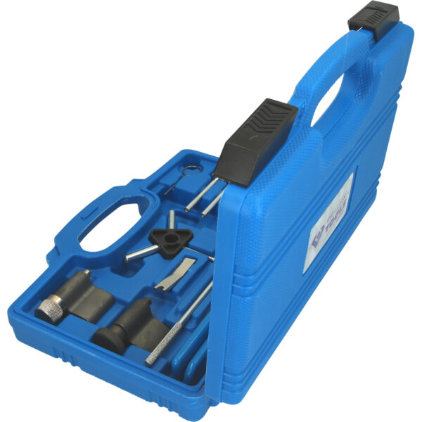 FOT_PRO_VAR_BT597700.1_SALL_AING_V1