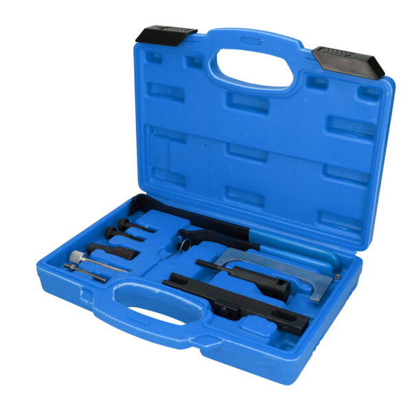 FOT_BT_VAR_BT597650.1_SALL_AING_V1