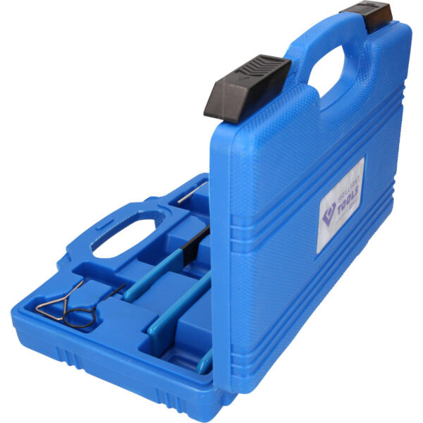 FOT_PRO_VAR_BT597600.1_SALL_AING_V1