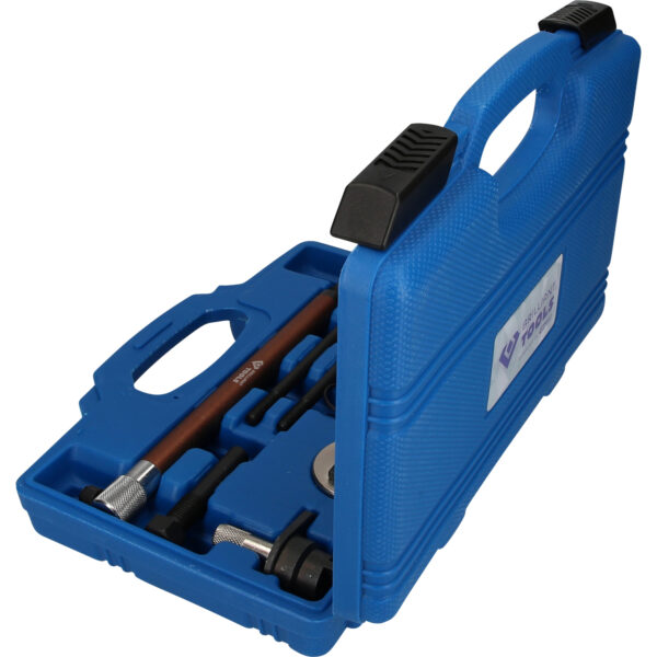 FOT_PRO_VAR_BT597500.1_SALL_AING_V1