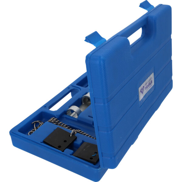 FOT_PRO_VAR_BT597450.1_SALL_AING_V1