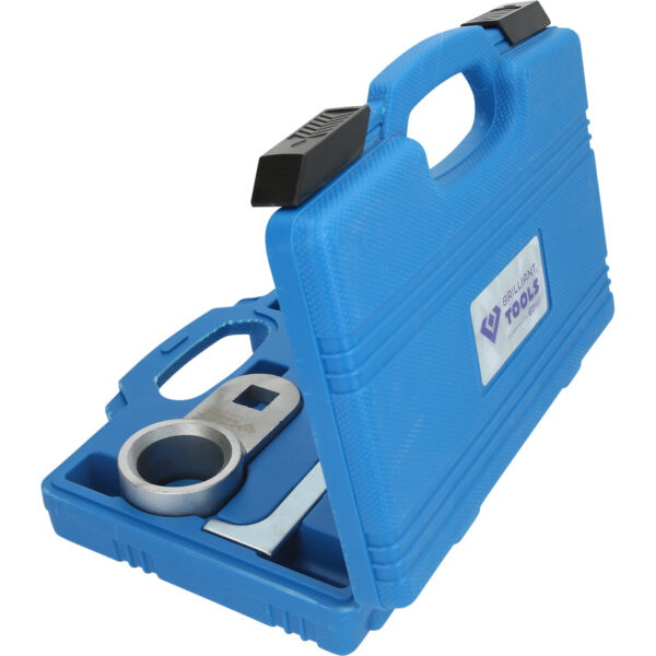 FOT_PRO_VAR_BT597250.1_SALL_AING_V1