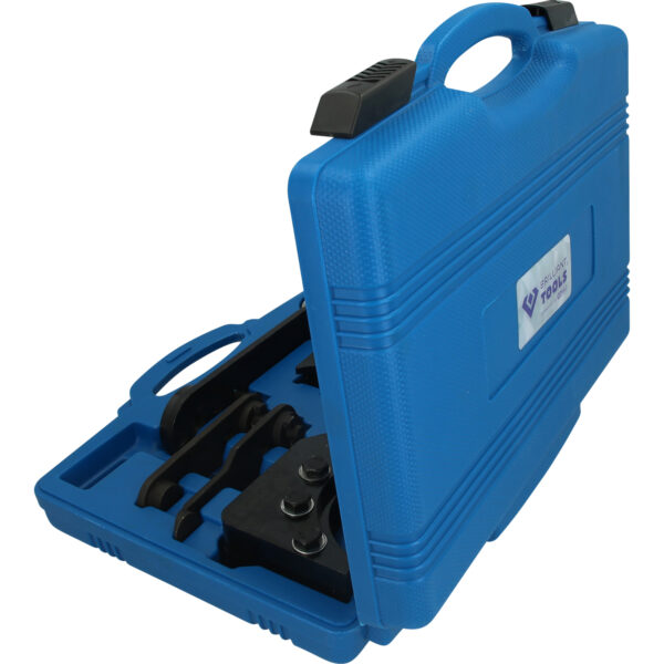 FOT_PRO_VAR_BT597200.1_SALL_AING_V1