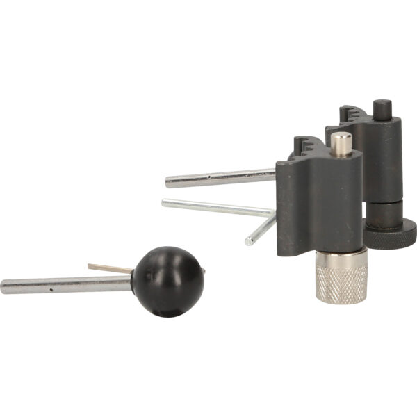 FOT_PRO_VAR_BT597150.1_SALL_AING_V1