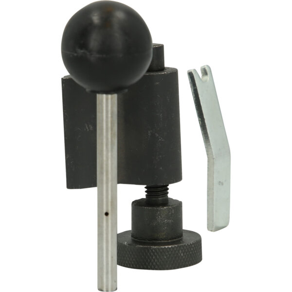 FOT_PRO_VAR_BT597100.1_SALL_AING_V1