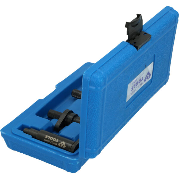 FOT_PRO_VAR_BT597000.1_SALL_AING_V1