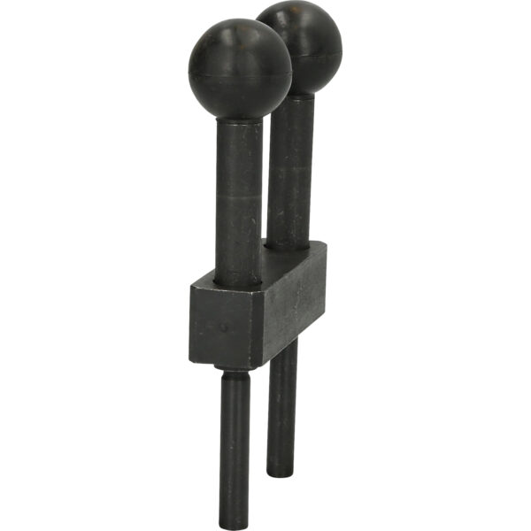 FOT_PRO_VAR_BT596003.1_SALL_AING_V1