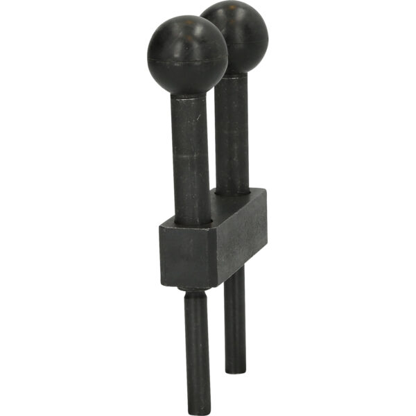 FOT_PRO_VAR_BT596003.3_SALL_AING_V1