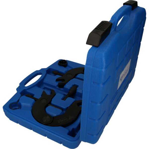 FOT_PRO_VAR_BT595950.1_SALL_AING_V1