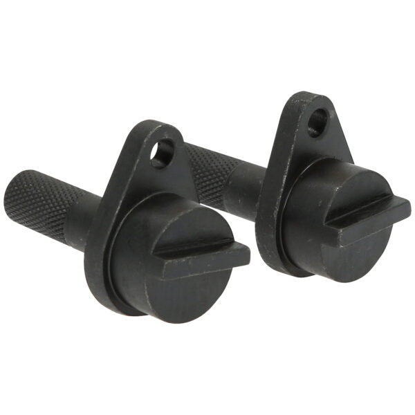 FOT_PRO_VAR_BT595800.1_SALL_AING_V1