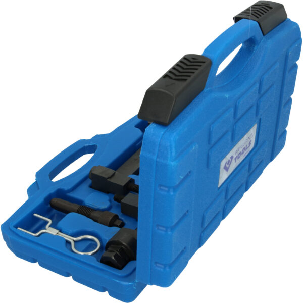 FOT_PRO_VAR_BT591100.1_SALL_AING_V1