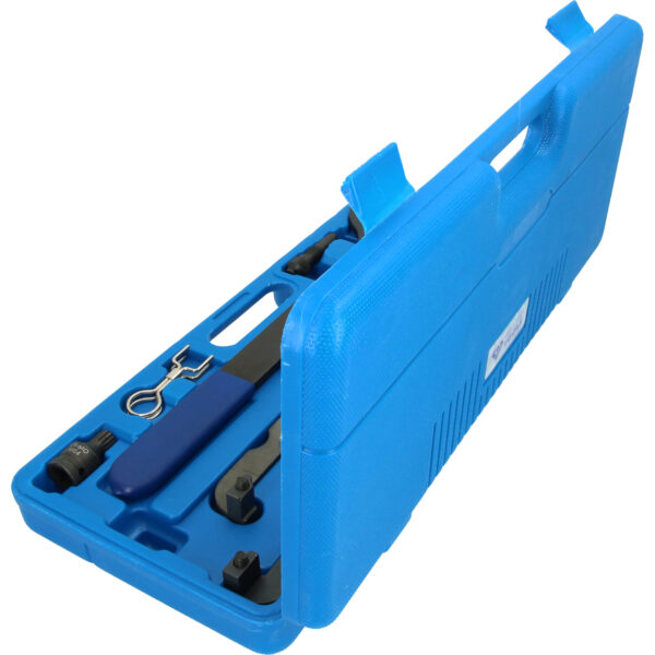 FOT_PRO_VAR_BT591050.1_SALL_AING_V1