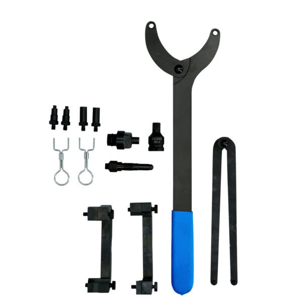 FOT_BT_VAR_BT591050.1_SALL_AING_V1