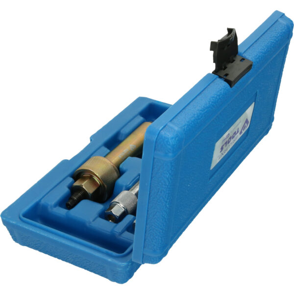 FOT_PRO_VAR_BT561020.1_SALL_AING_V1