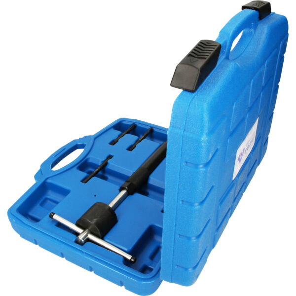 FOT_PRO_VAR_BT561010.1_SALL_AING_V1