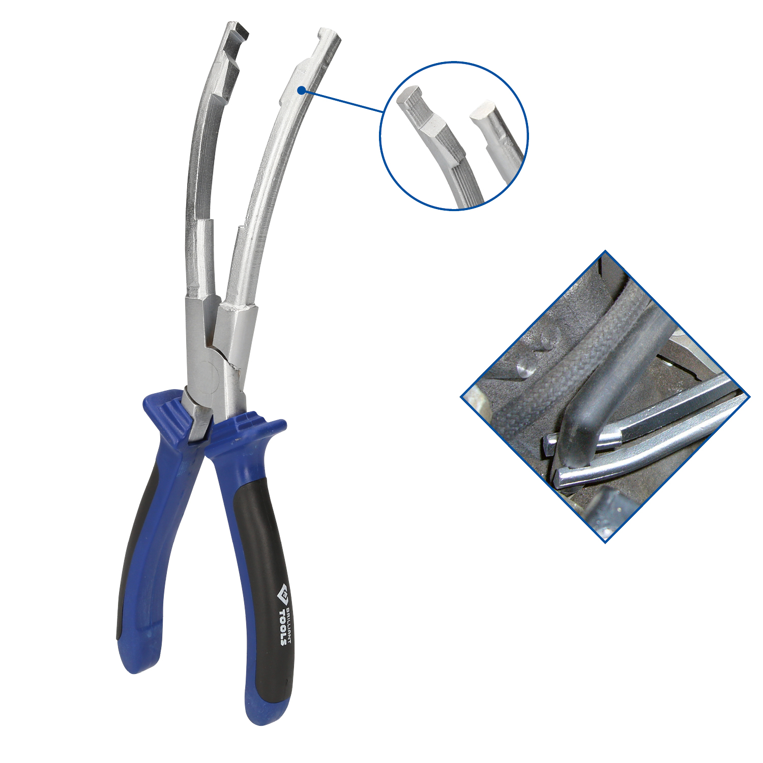 FOT_GES_ALG_BT566003.GB_SALL_AING_V1