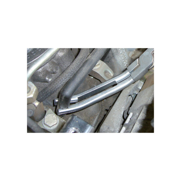 FOT_ANW_ALG_BT_BT566003.AW1_SALL_AING_V1