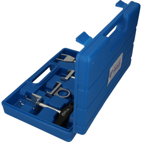 FOT_PRO_VAR_BT561000.1_SALL_AING_V1