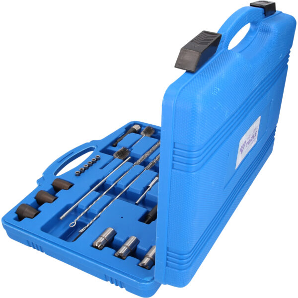 FOT_PRO_VAR_BT551300.1_SALL_AING_V1