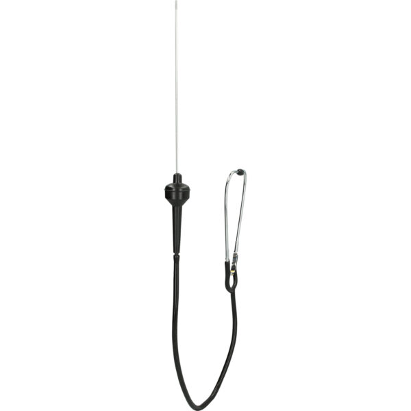 FOT_PRO_VAR_BT586000.1_SALL_AING_V1