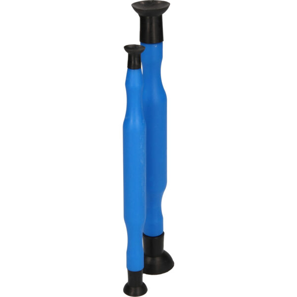 FOT_PRO_VAR_BT546000.1_SALL_AING_V1