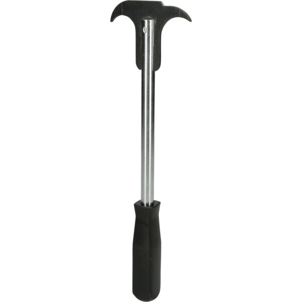 FOT_BT_ALG_BT546002_SALL_AING_V1