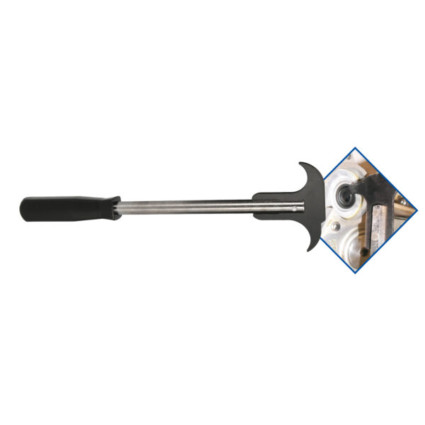 FOT_GES_ALG_BT546002.GB_SALL_AING_V1