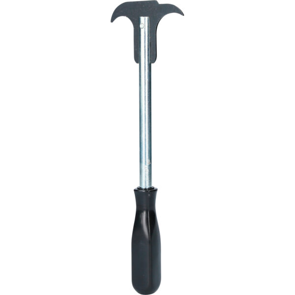 FOT_PRO_VAR_BT546002.2_SALL_AING_V1