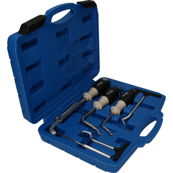 FOT_PRO_VAR_BT542060.3_SALL_AING_V1