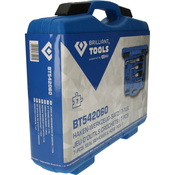 FOT_PRO_VAR_BT542060.5_SALL_AING_V1