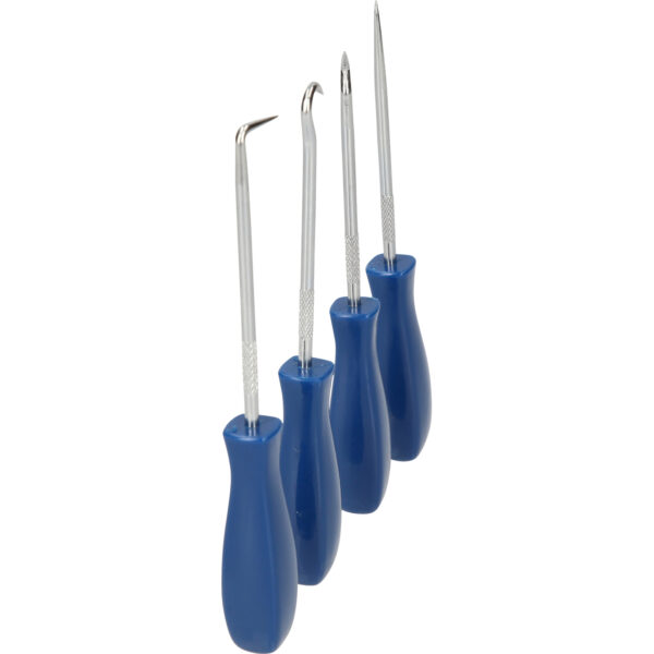 FOT_PRO_VAR_BT542020.1_SALL_AING_V1