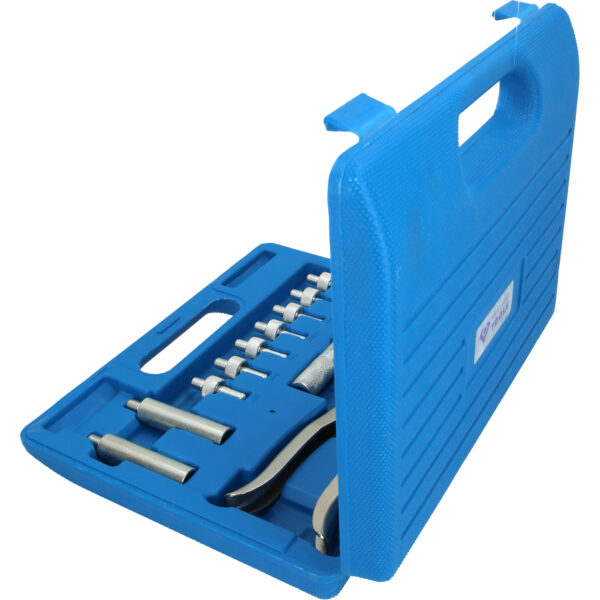 FOT_PRO_VAR_BT541100.1_SALL_AING_V1