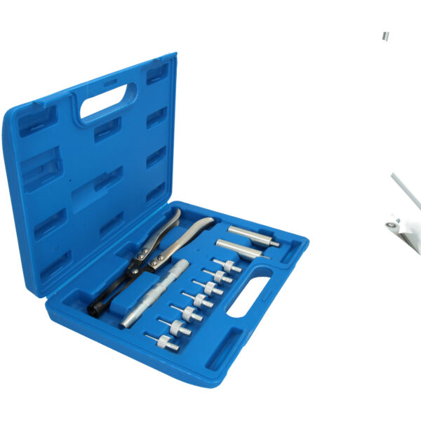 FOT_PRO_VAR_BT541100.3_SALL_AING_V1